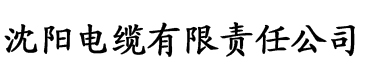 亚洲精品麻豆一区二区三区电缆厂logo